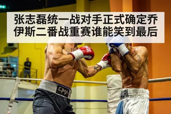 heavyweight boxing match