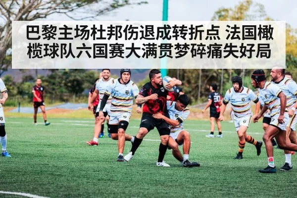 巴黎主场杜邦伤退成转折点 法国橄榄球队六国赛大满贯梦碎痛失好局