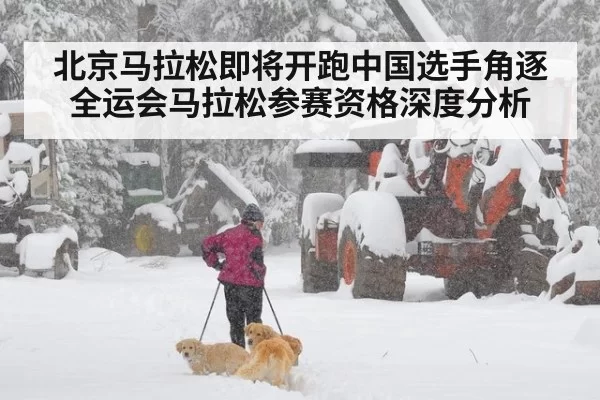 北京马拉松即将开跑中国选手角逐全运会马拉松参赛资格深度分析